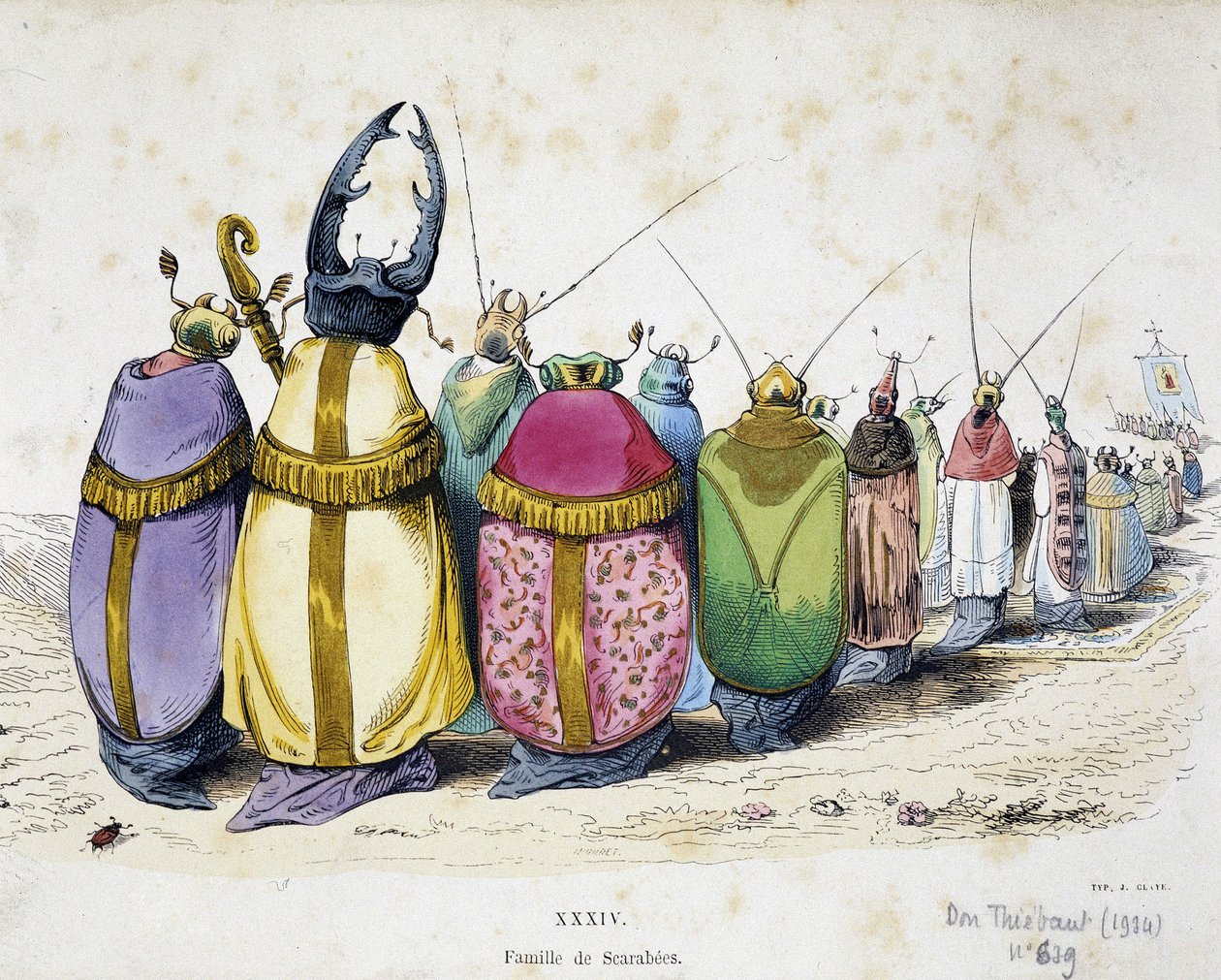 Procession of beetles wearing clerical clothes - Anticlerical Cartoon of Granville from “The Metamorphoses of the Day” 1829 by Grandville