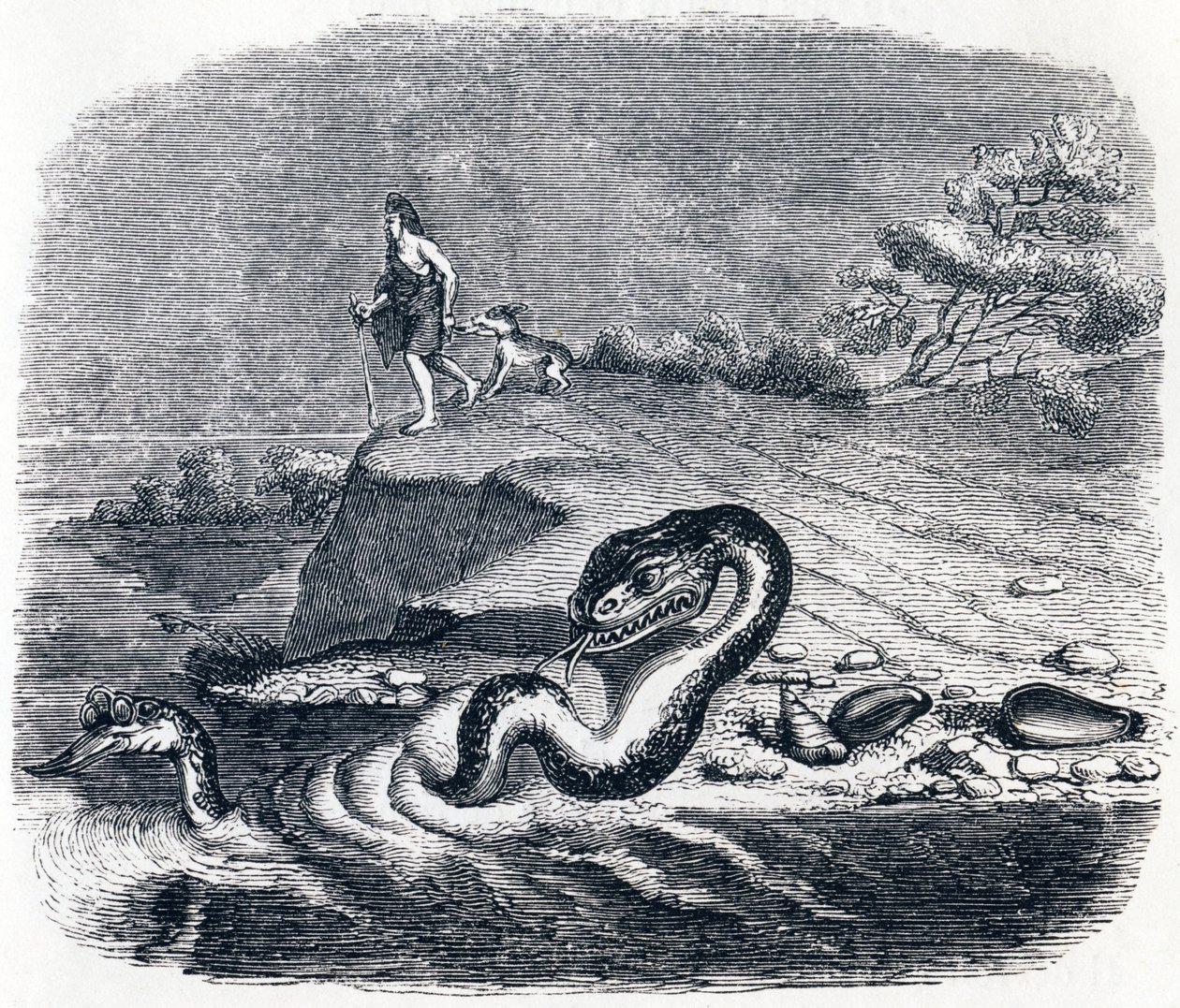 Yılanın önü ve kuyruğu - La Fontaine'in Masalları by Grandville