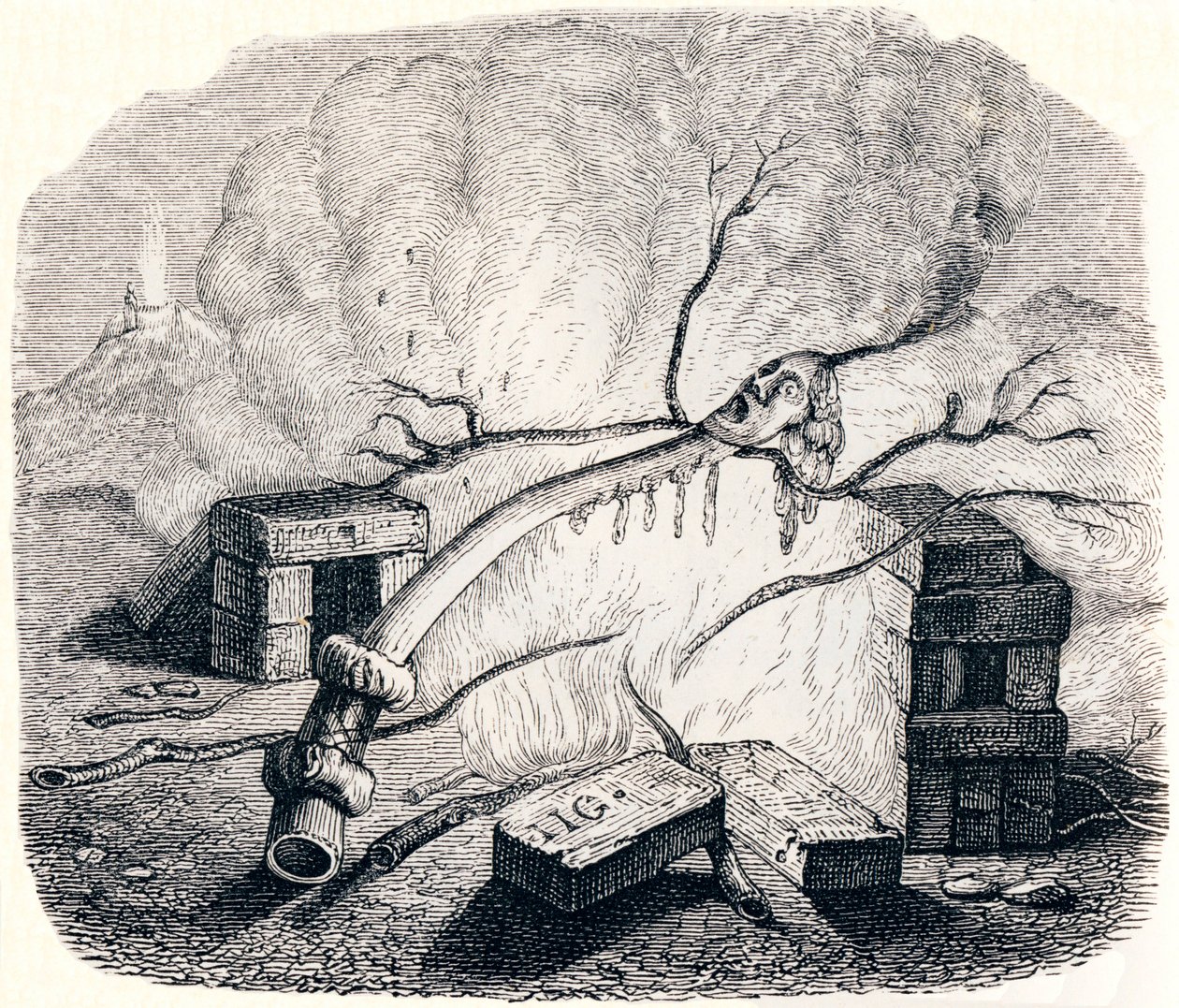 Mum - La Fontaine'in Masalları by Grandville