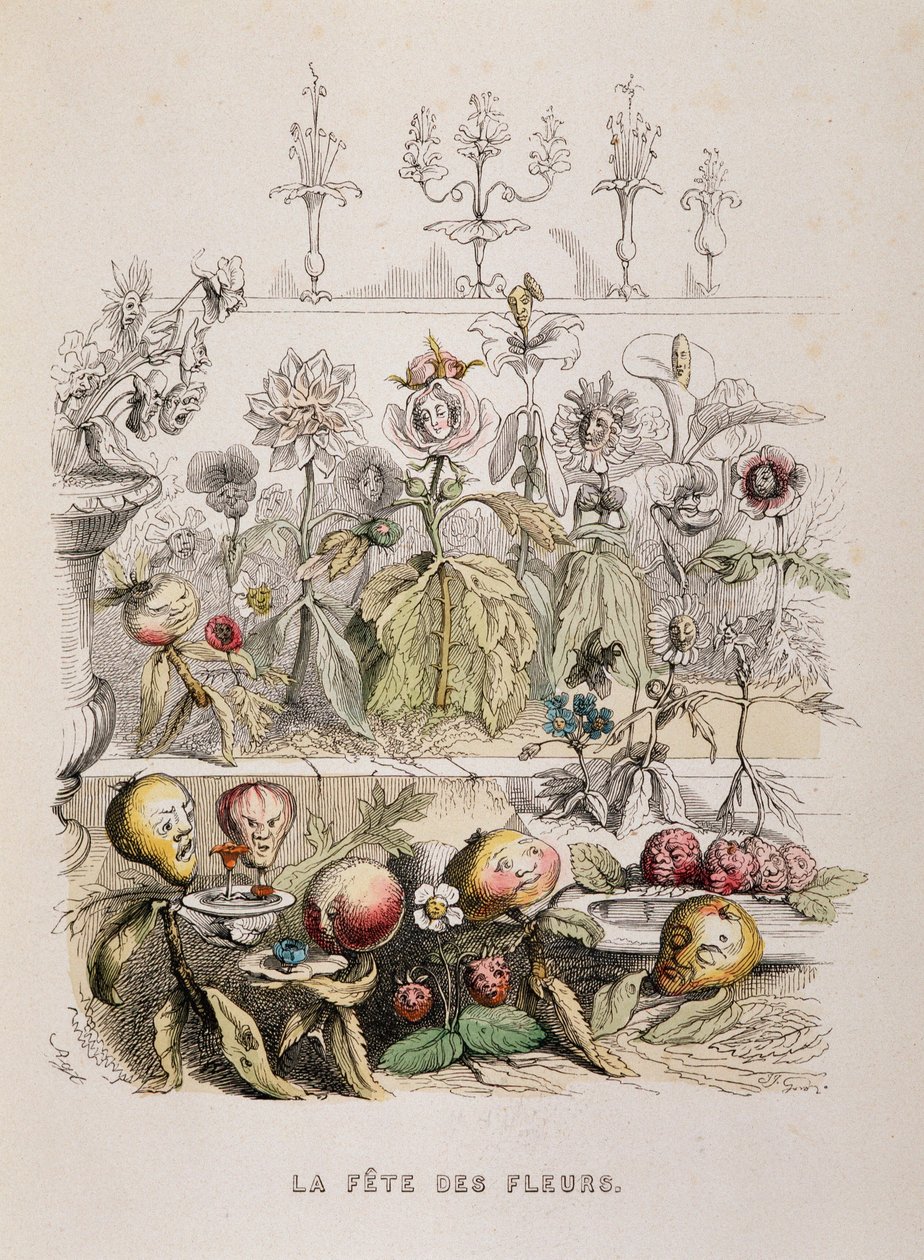 Çiçek festivali - çizim Grandville by Grandville