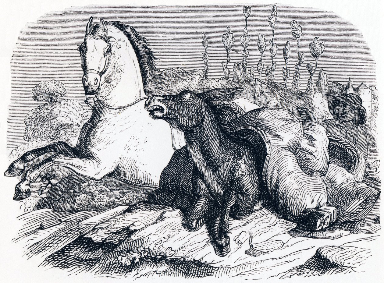 At ve eşek (Le cheval et l