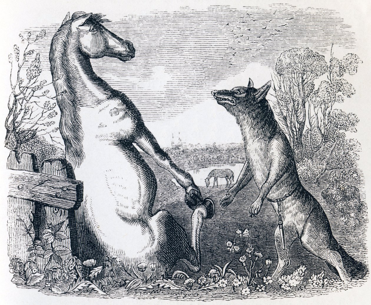 At ve Kurt - La Fontaine Masalları by Grandville