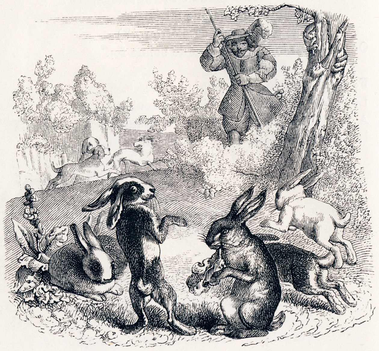 Tavşanlar - La Fontaine'in Masalları by Grandville