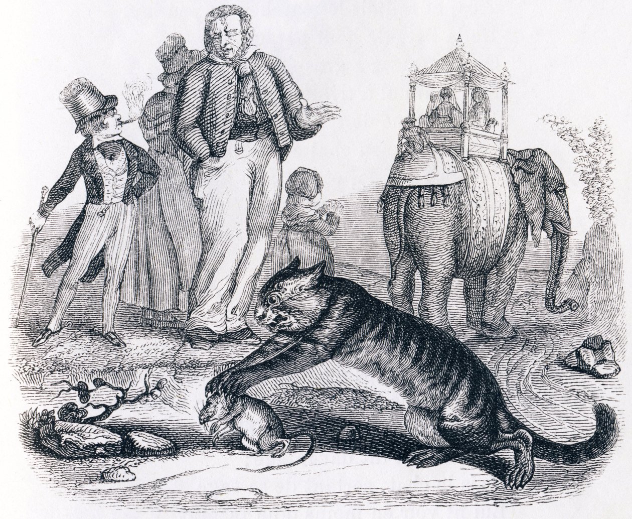 Sıçan ve fil (le rat et l