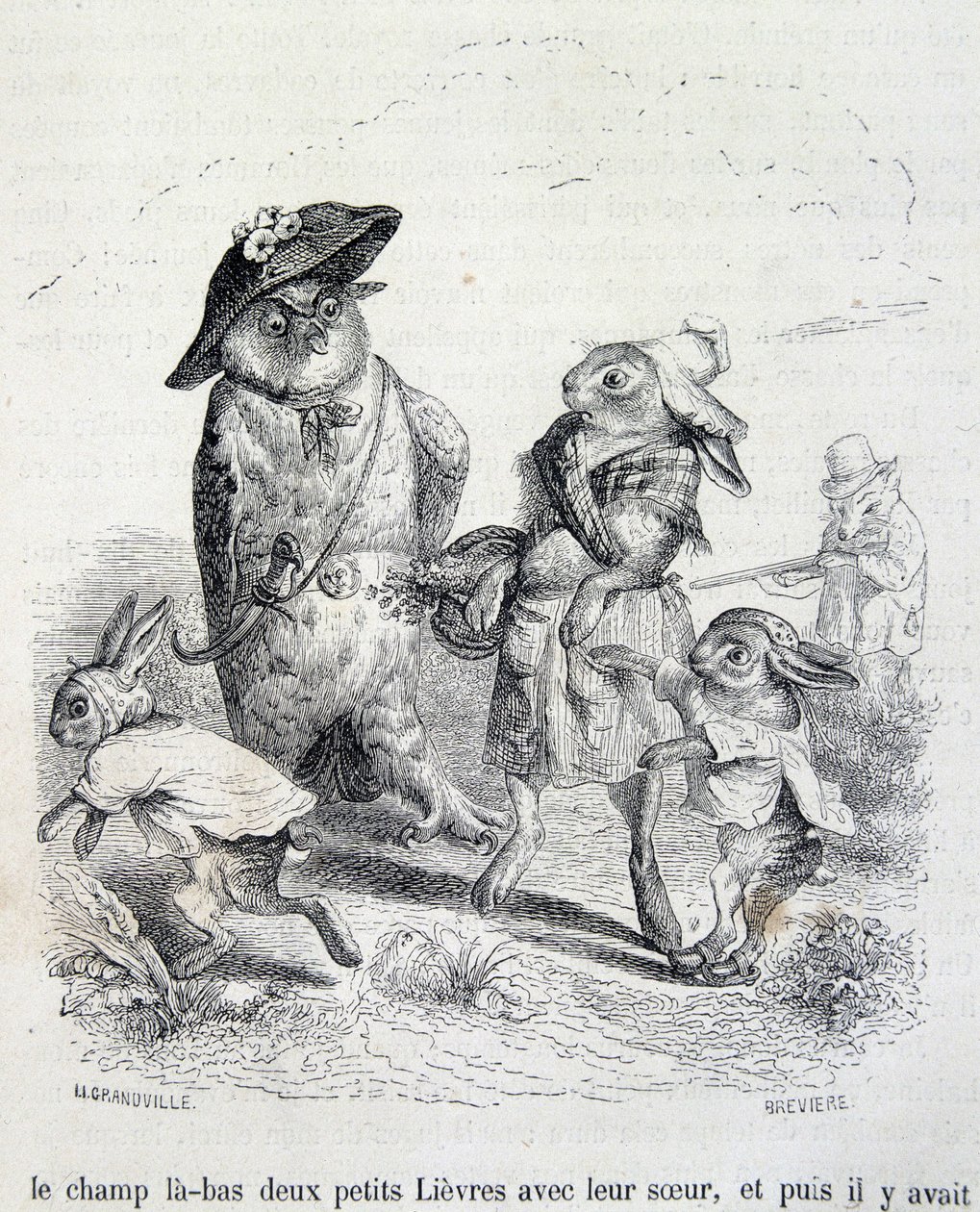 İki küçük tavşan, kız kardeşleri ve baykuş - Grandville by Grandville