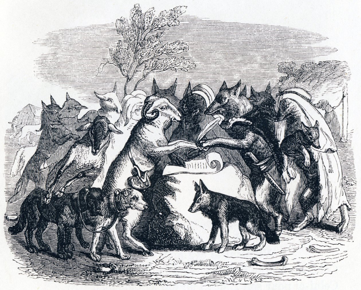 Kurtlar ve koyunlar - La Fontaine