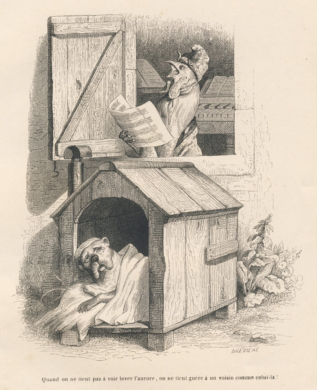 Kulübesindeki tembel bir köpek, şafak vakti horoz ötmesiyle uyanır. JJ Granville tarafından gösterilen vinyetler. PJ Stahl