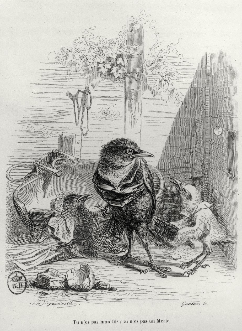 Gautier tarafından oyulmuş LHistoire dun merle blanc için illüstrasyon by Grandville 1803 47 after Grandville 1803 47 after