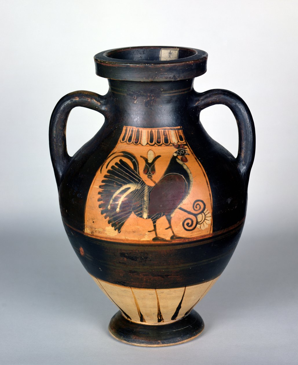 Horoz betimleyen amfora, Korint Tarzı (çömlek) by Greek