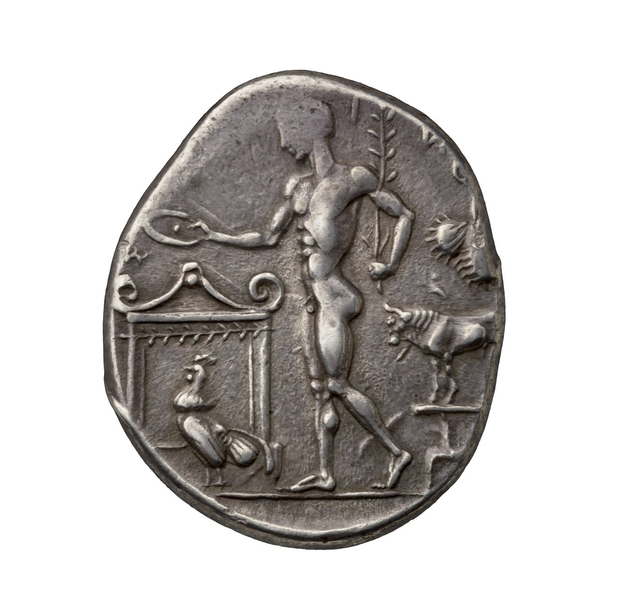 Selinus
