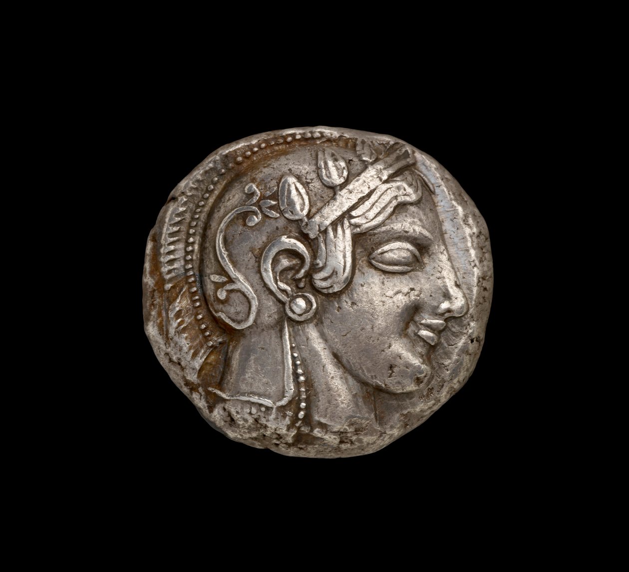 Athena Sikkesi, Athena