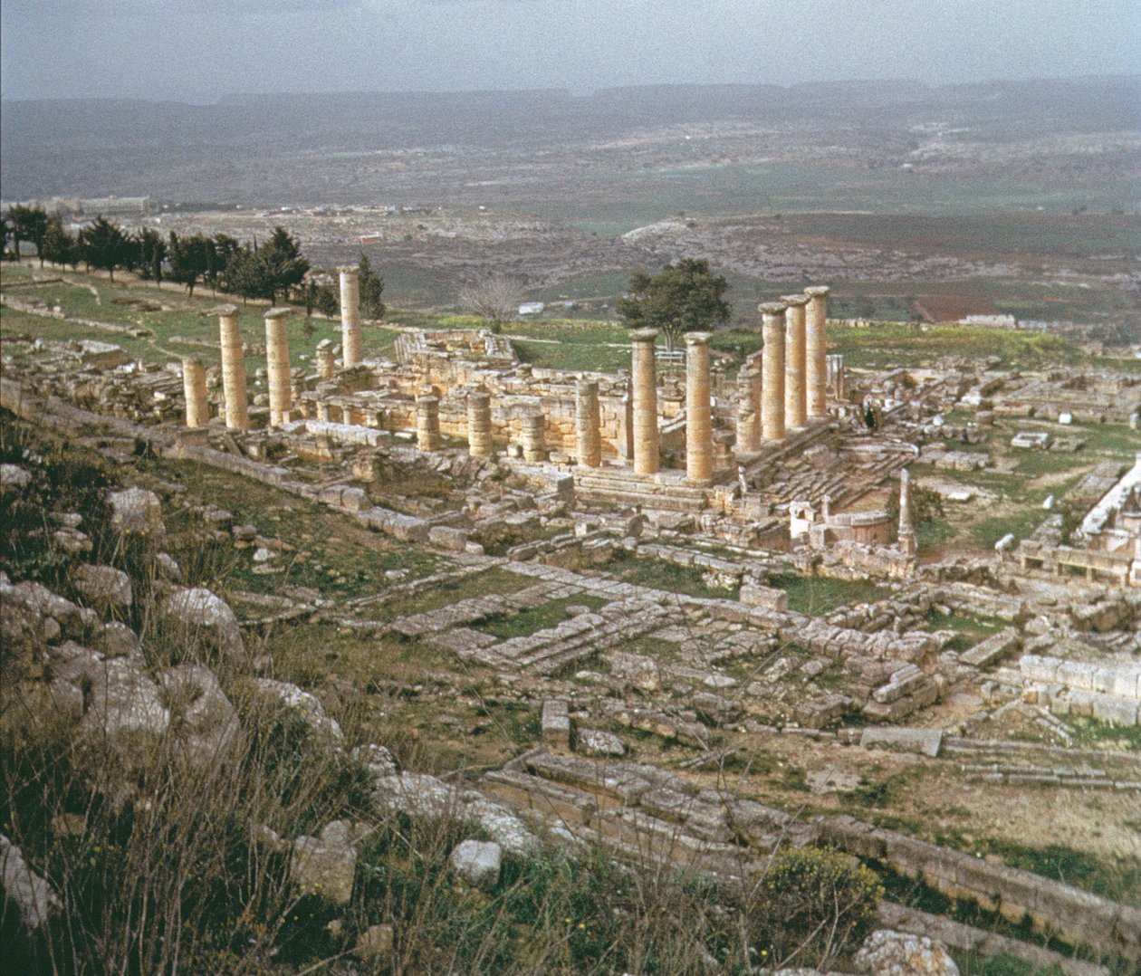 Aşağı Kirene