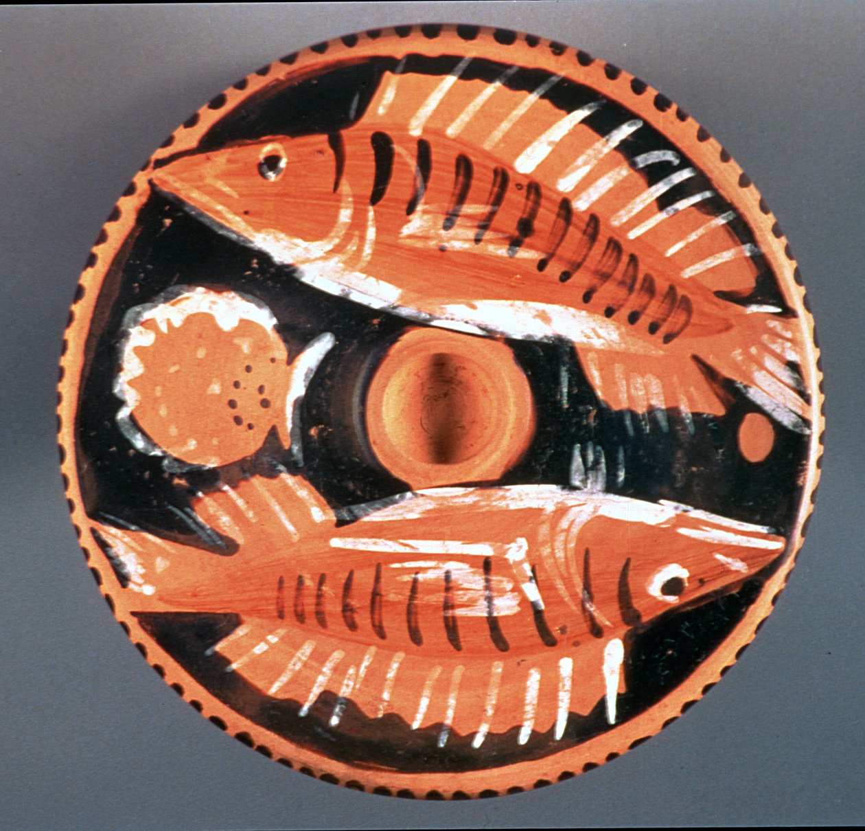 Plate depicting two fish, 350 BC (ceramic) by Greek