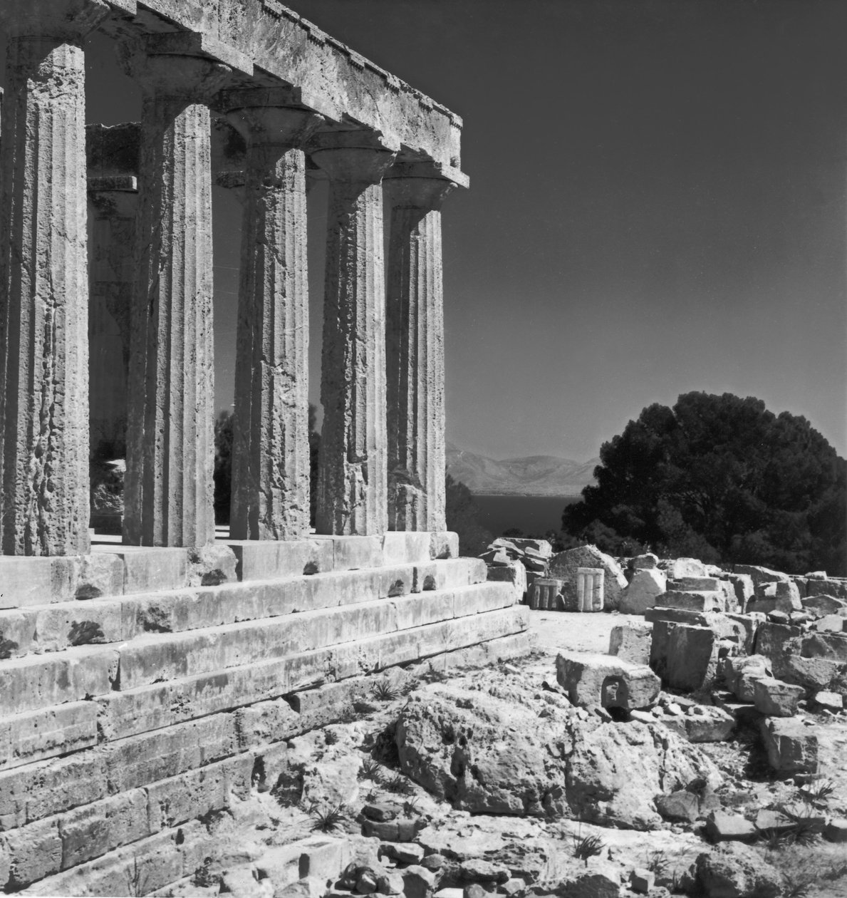 Aphaia Tapınağı by Greek