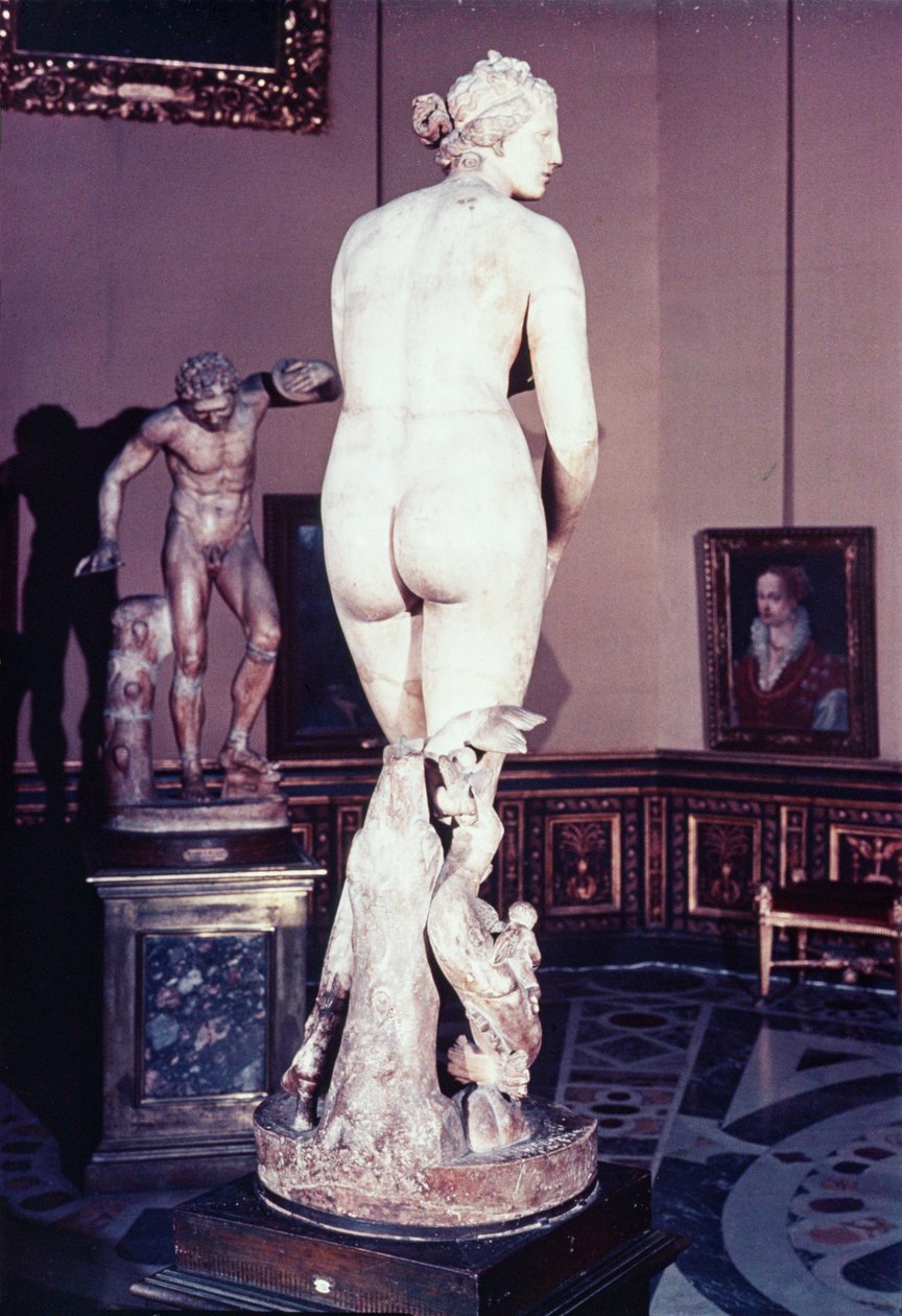 Medici Venüs, Yunan, MÖ 3. yüzyılın başlarında (mermer) by Greek