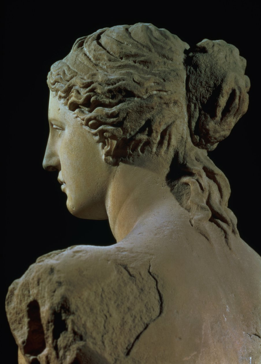 Venüs de Milo, başın arkasının detayı, Helenistik dönem, MÖ 100 civarı mermer önden görünüm için bkz. 14152 by Greek