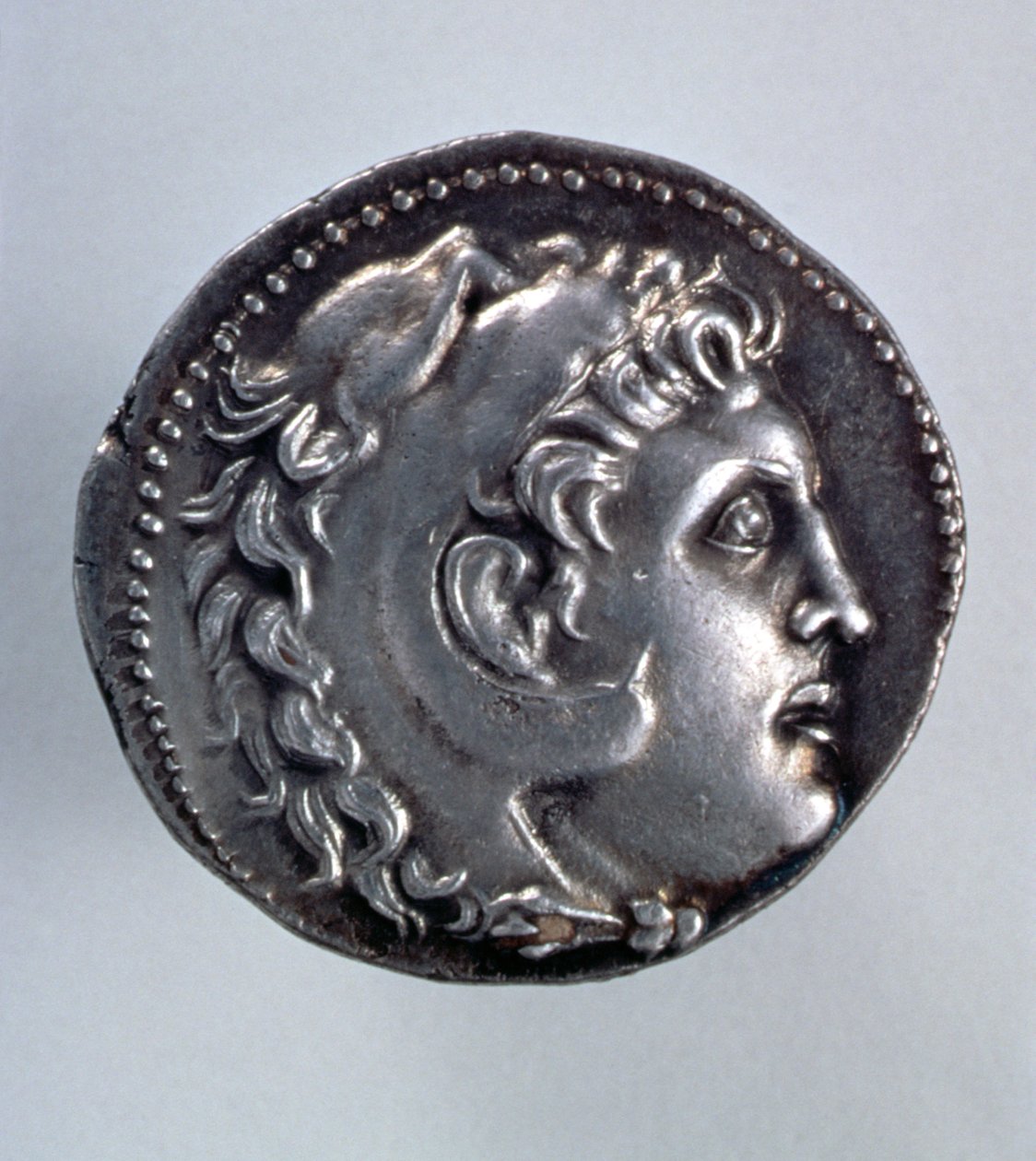 Bir aslan derisi başlık giyen Herakles