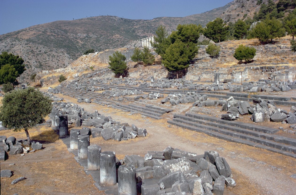 Cadde ve agora ile genel görünüm by Greek School