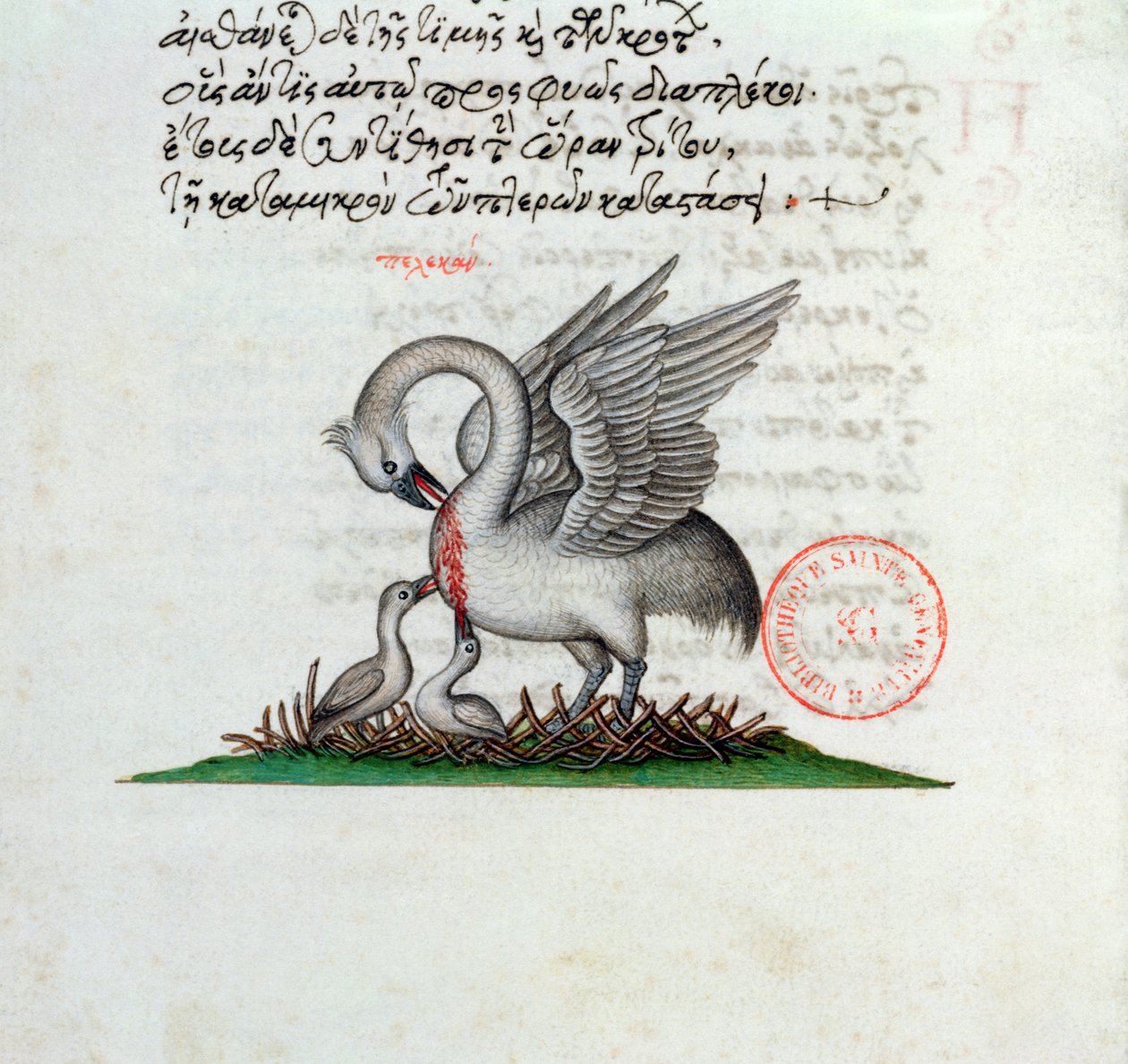 Ms 3401 Bir Bestiary