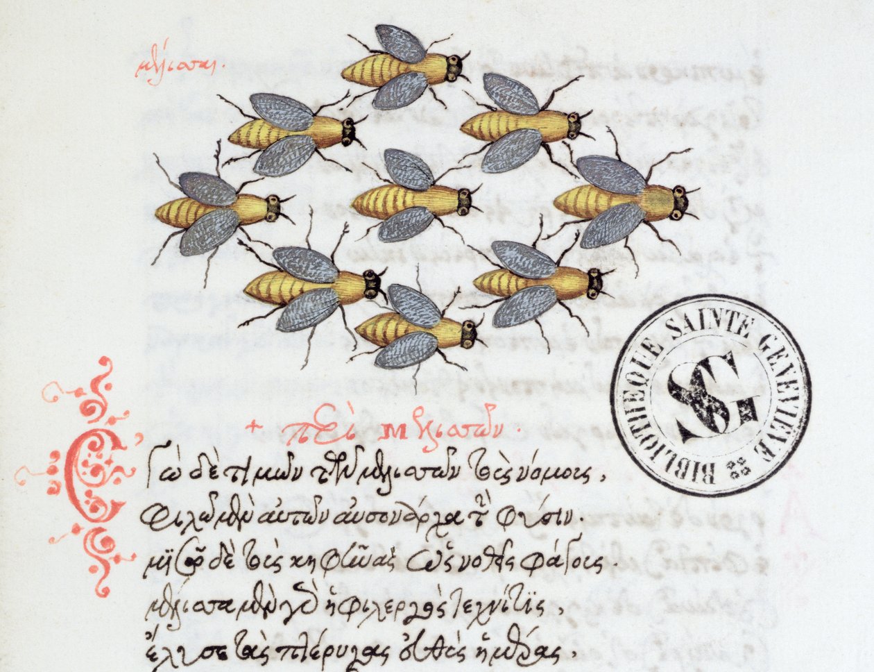 Ms 3402 Bees, from a Bestiary by Manuel Philes, 1566 by Greek School