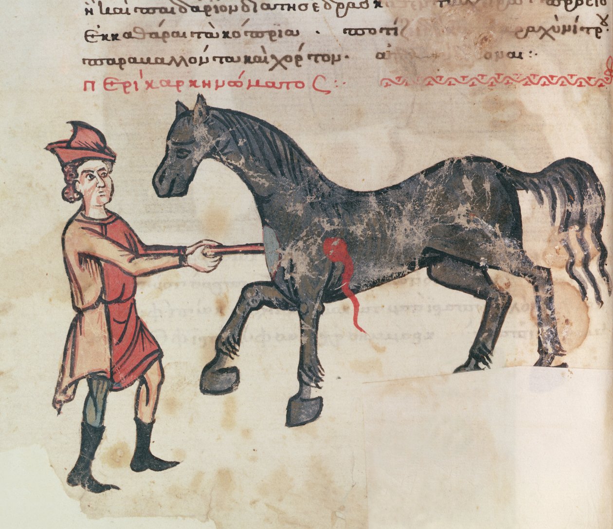 Ms Grec 2244 fol.37v At üzerinde çalışıyor by Greek School