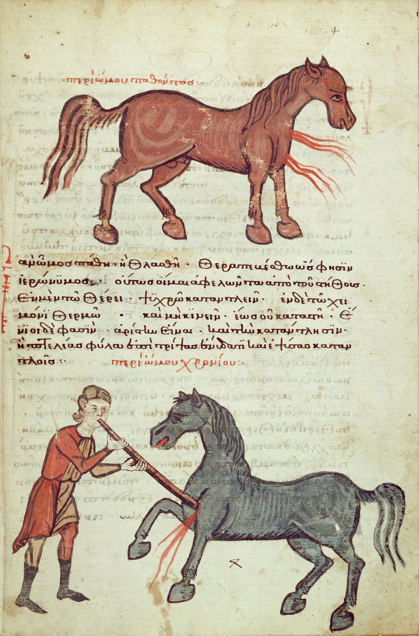 Ms Grec 2244 fol.4 Bir at üzerinde çalıştırma by Greek School