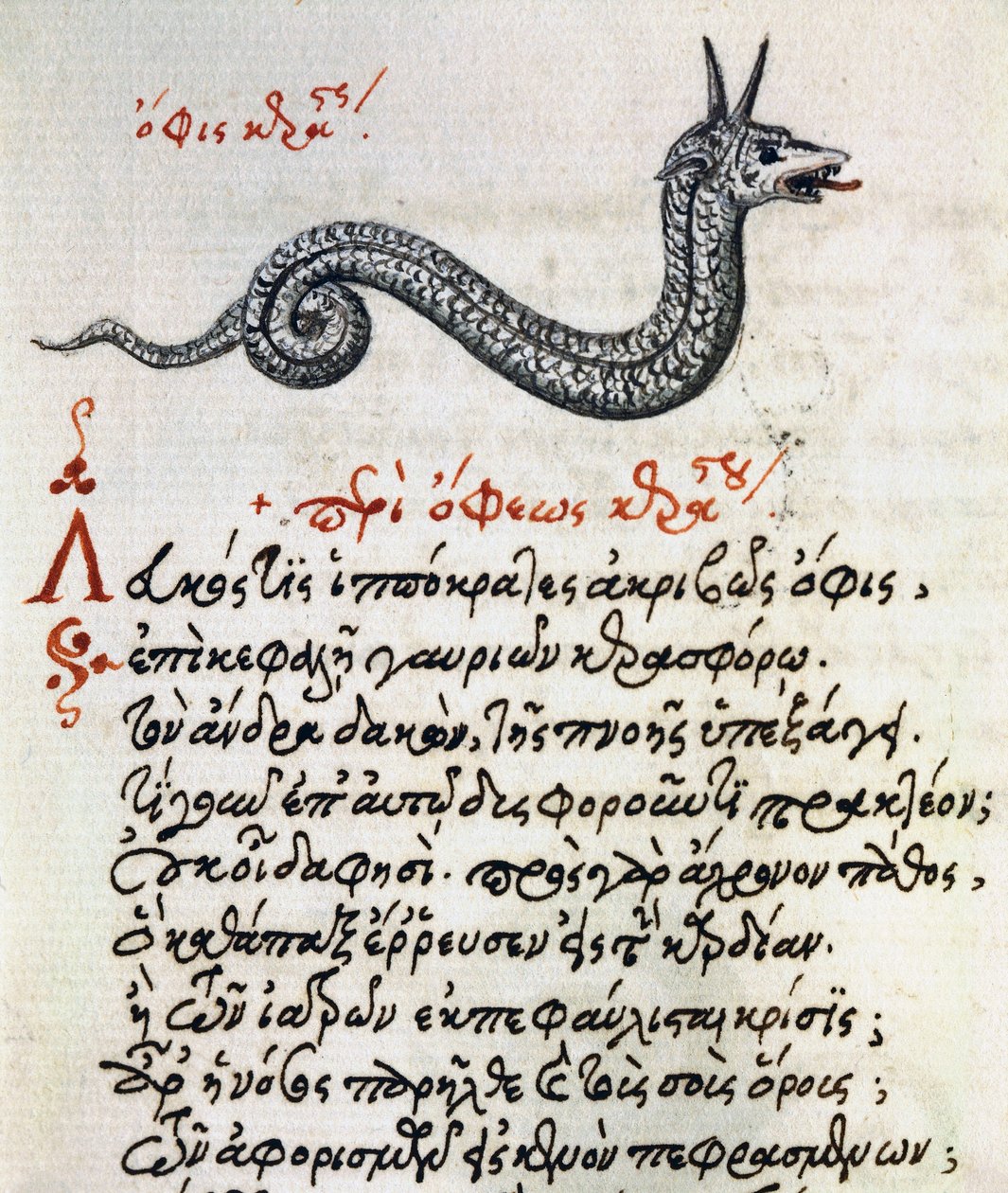 Basilisk Üzerine İnceleme, Aelianus
