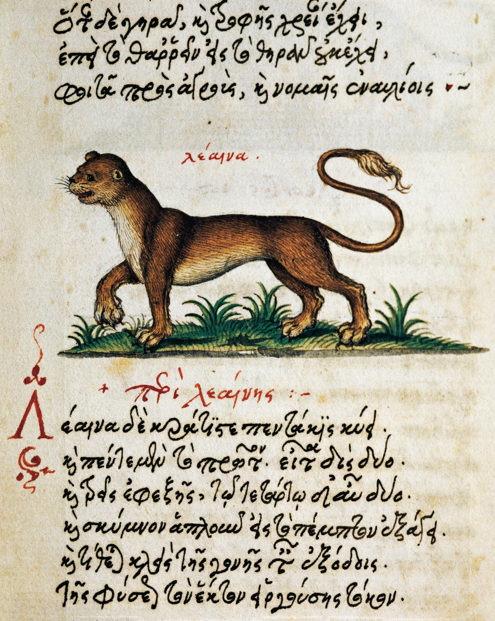 Aelian (MS 2.-3. yüzyıl) tarafından doğa ve mülkiyet dilekçesinden Aslan, test ve minyatür hayvanlar üzerine inceleme by Greek School