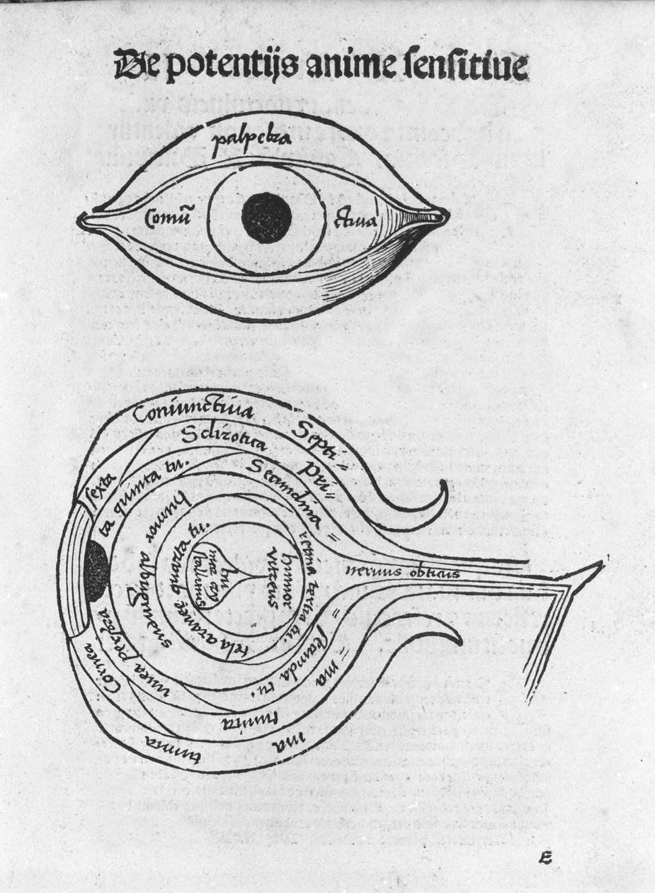 İnsan gözünün incelenmesi. Gregor Reisch (1467-1525), Bale 1517 tarafından yazılan “Margarita Philosophica”dan anatomik pano. by Gregor Reisch
