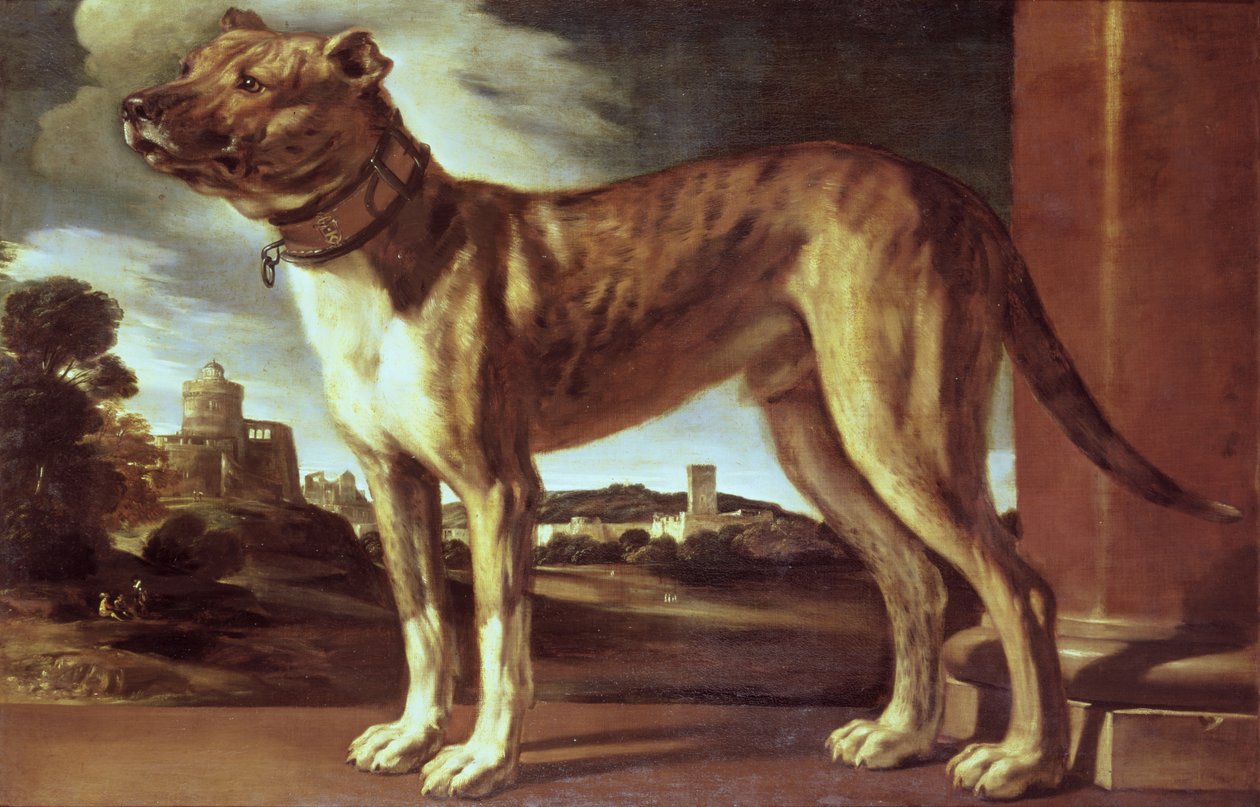 Bir Köpek Portresi by Giovanni Francesco Barbieri