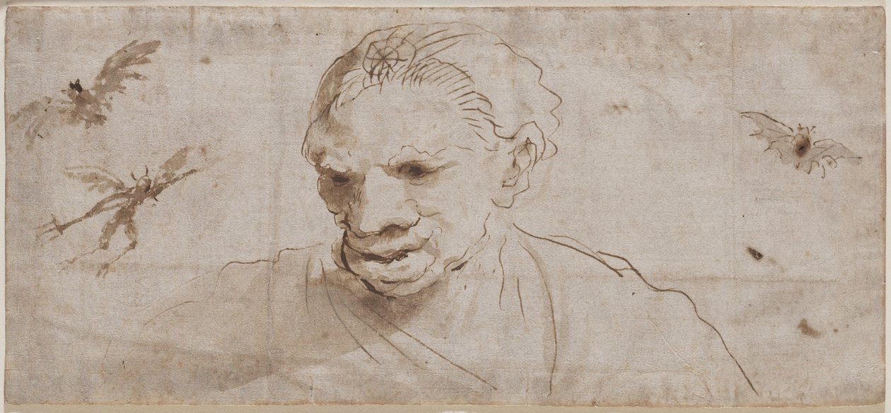 Api og kastanía, 19. öld (æting og rúlletta) by Giovanni Francesco Barbieri