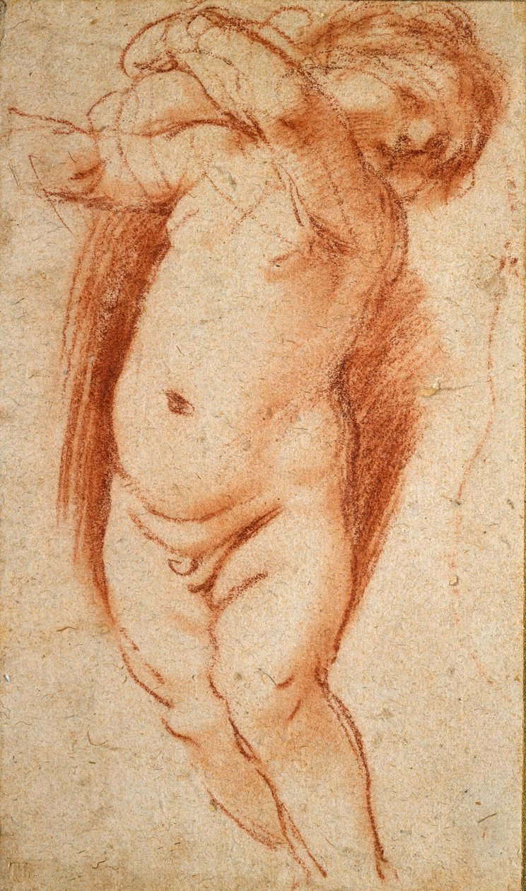 Bir Putto, 1620-1624 by Guercino