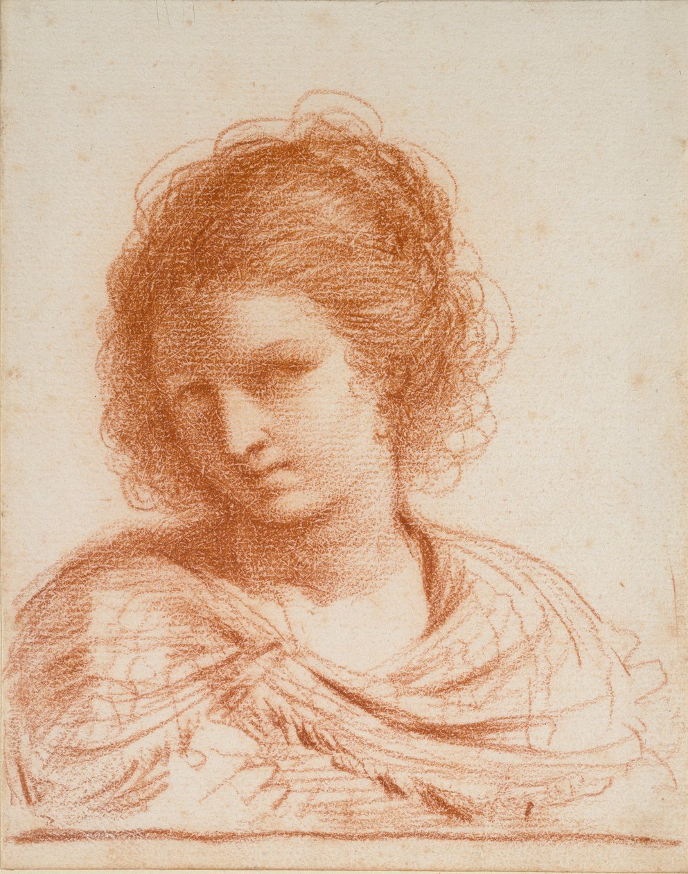 Genç Bir Kadının Başı, 1550-1666 by Guercino