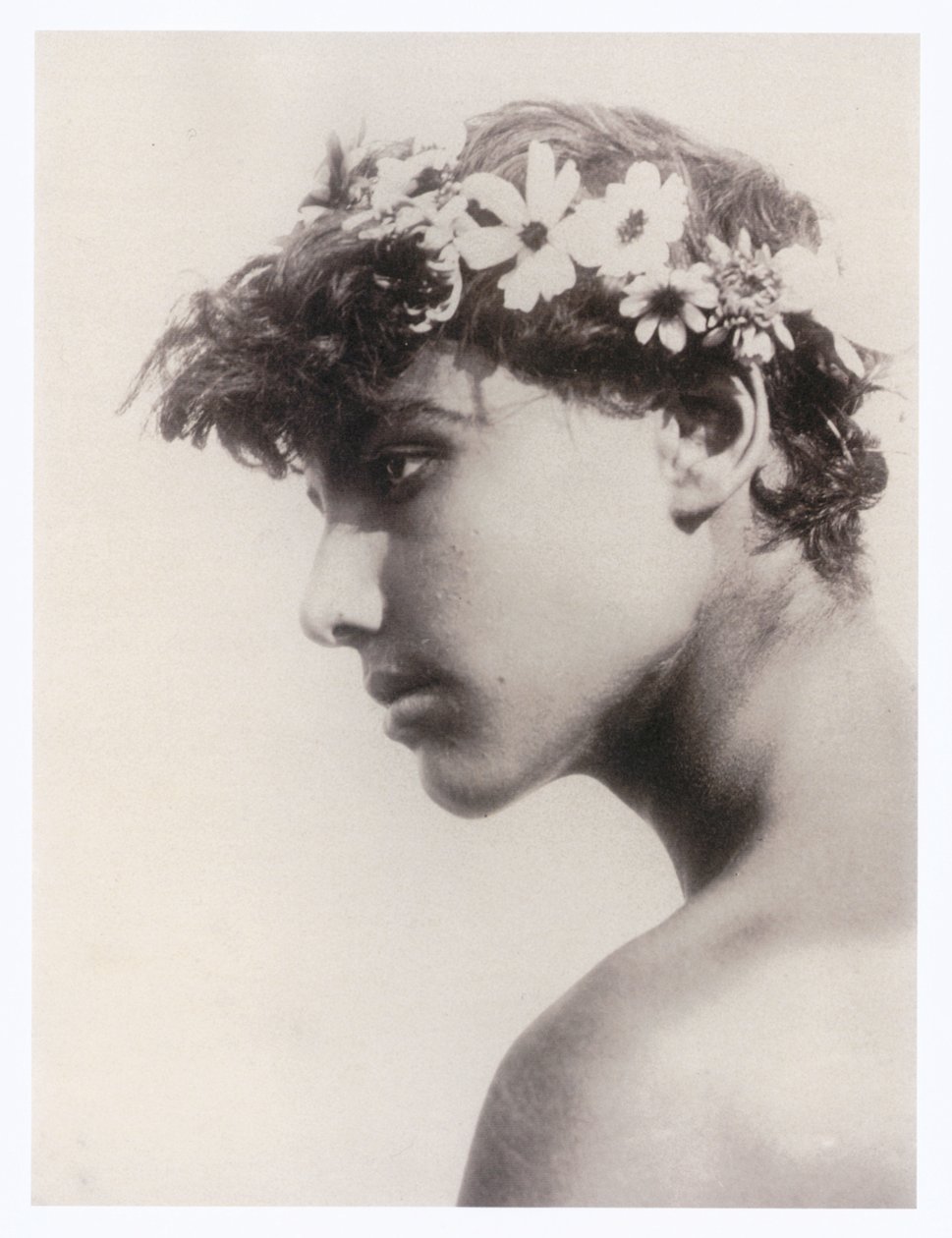  by Guglielmo (1852 1930) Plüschow