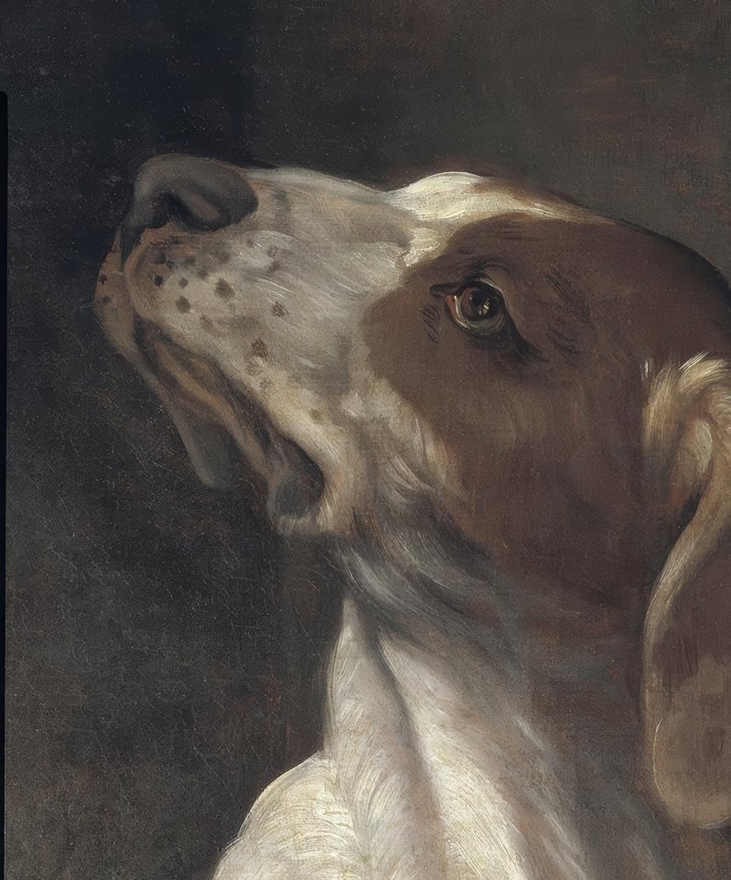 Aziz Roch hapiste, bir melek tarafından teselli edildi by Guido Reni