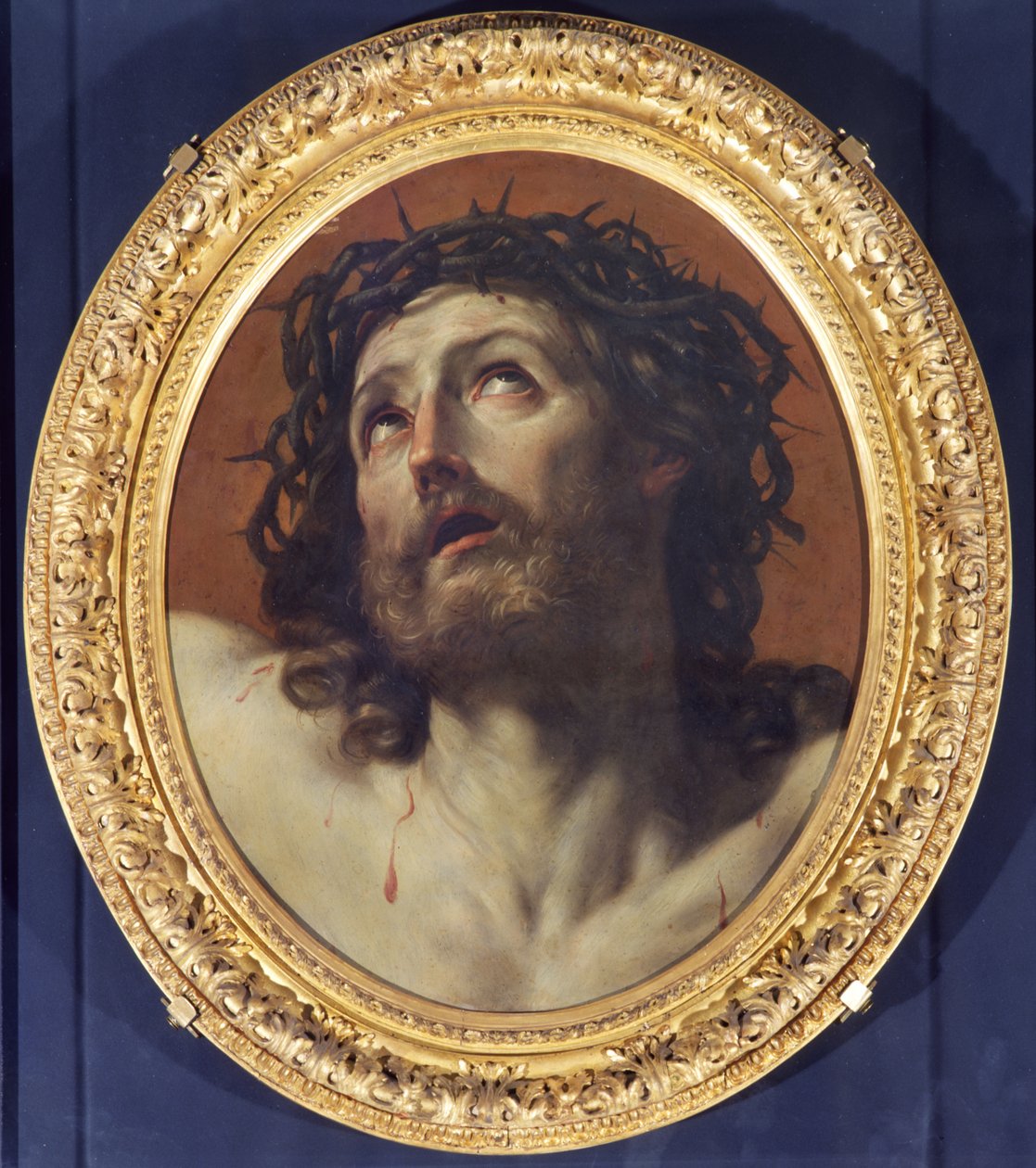 adama bak by Guido Reni
