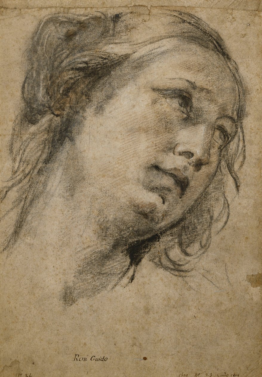 Sağa Bakan Kadın Başı, by Guido Reni