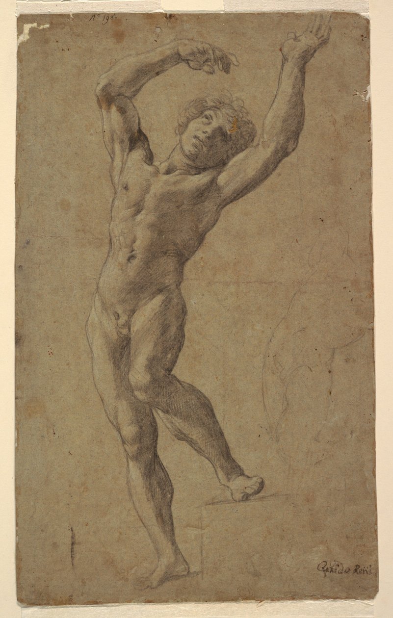 St. Sebastian için Çalışma, Pomarici Santomasi Müzesi, Puglia, İtalya by Guido Reni