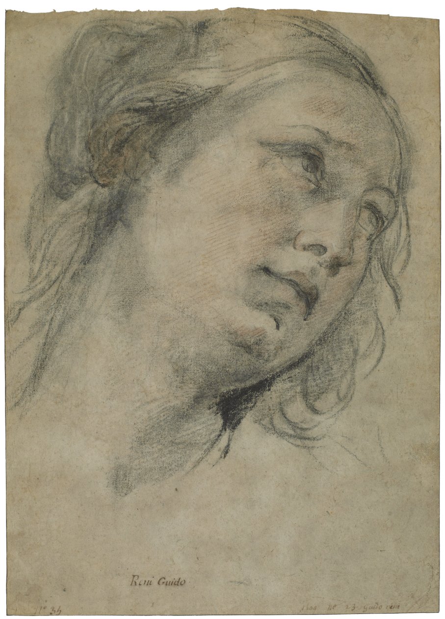Yukarıya Bakan Genç Bir Kadının Başı, c.1609 (kahverengi kağıt üzerine beyaz tebeşir dokunuşlarıyla siyah ve kırmızı tebeşir) by Guido Reni