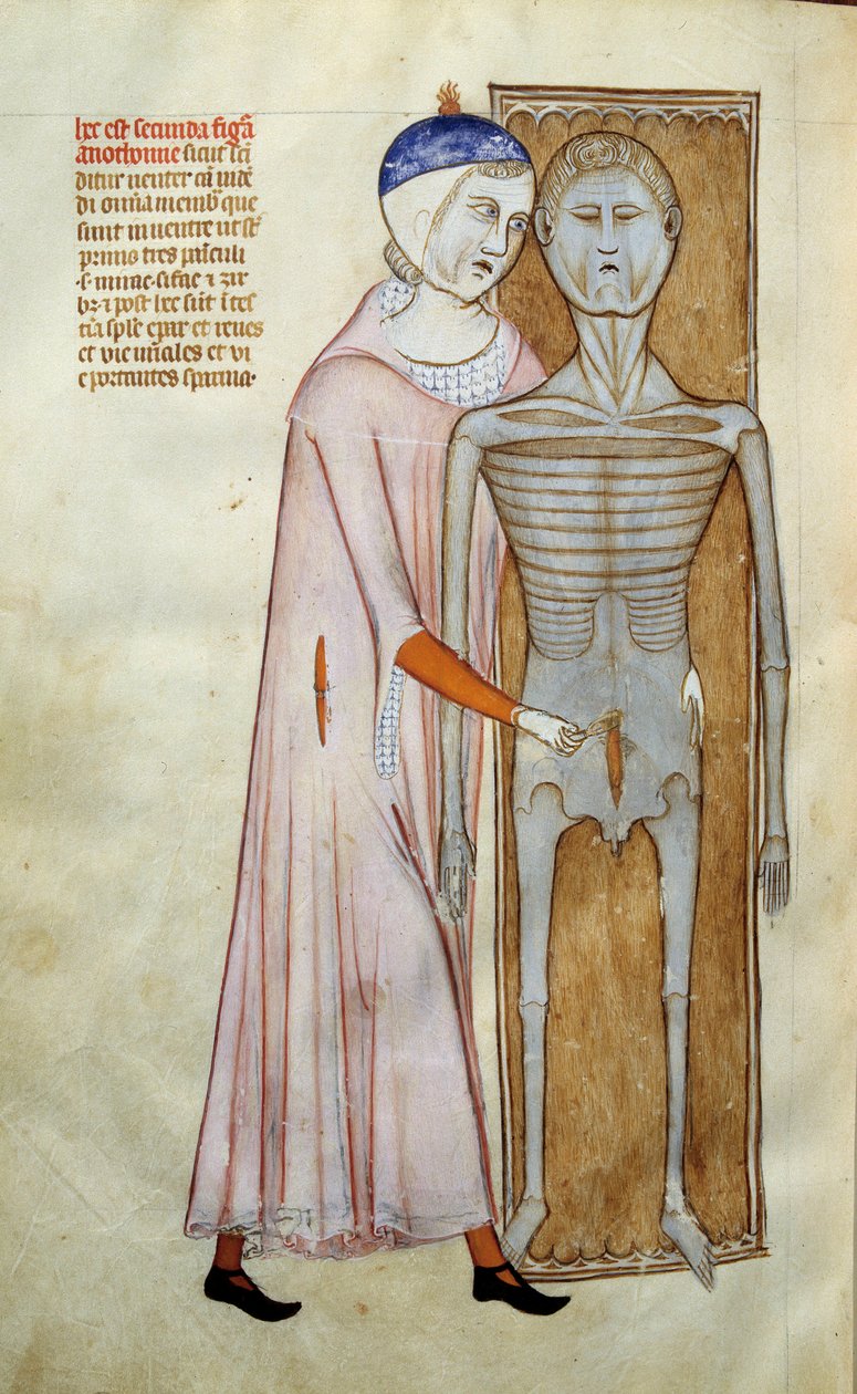 Tıp: bir diseksiyon sahnesini temsil eden anatomi ve cerrahi pano - El yazmasından alınan sayfa by Guido da Vigevano da Pavia