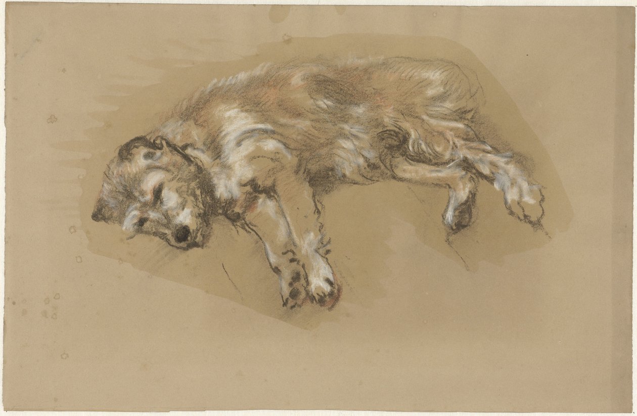yalancı köpek by Guillaume Anne van der Brugghen