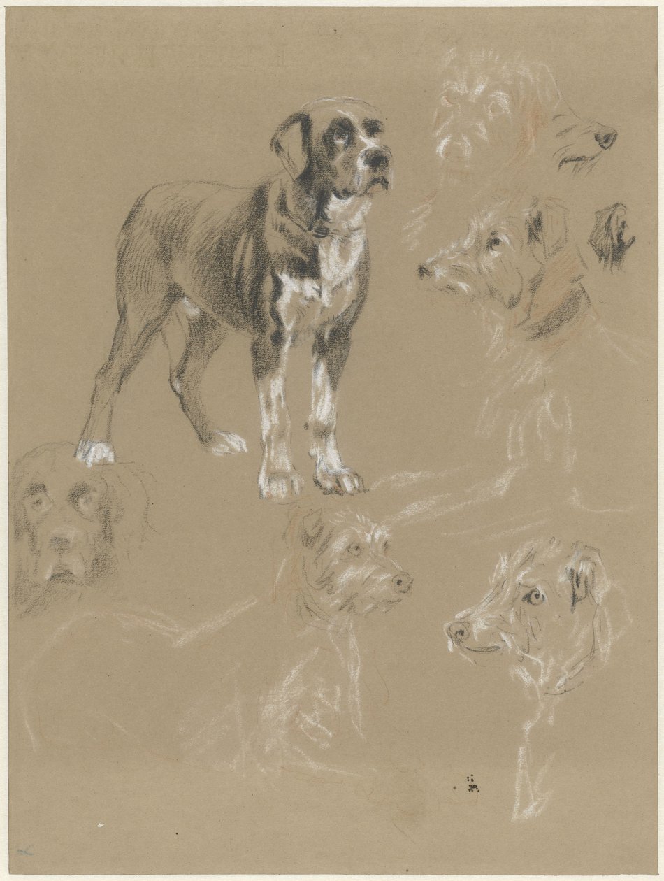 Bir köpeğin çalışmaları by Guillaume Anne van der Brugghen