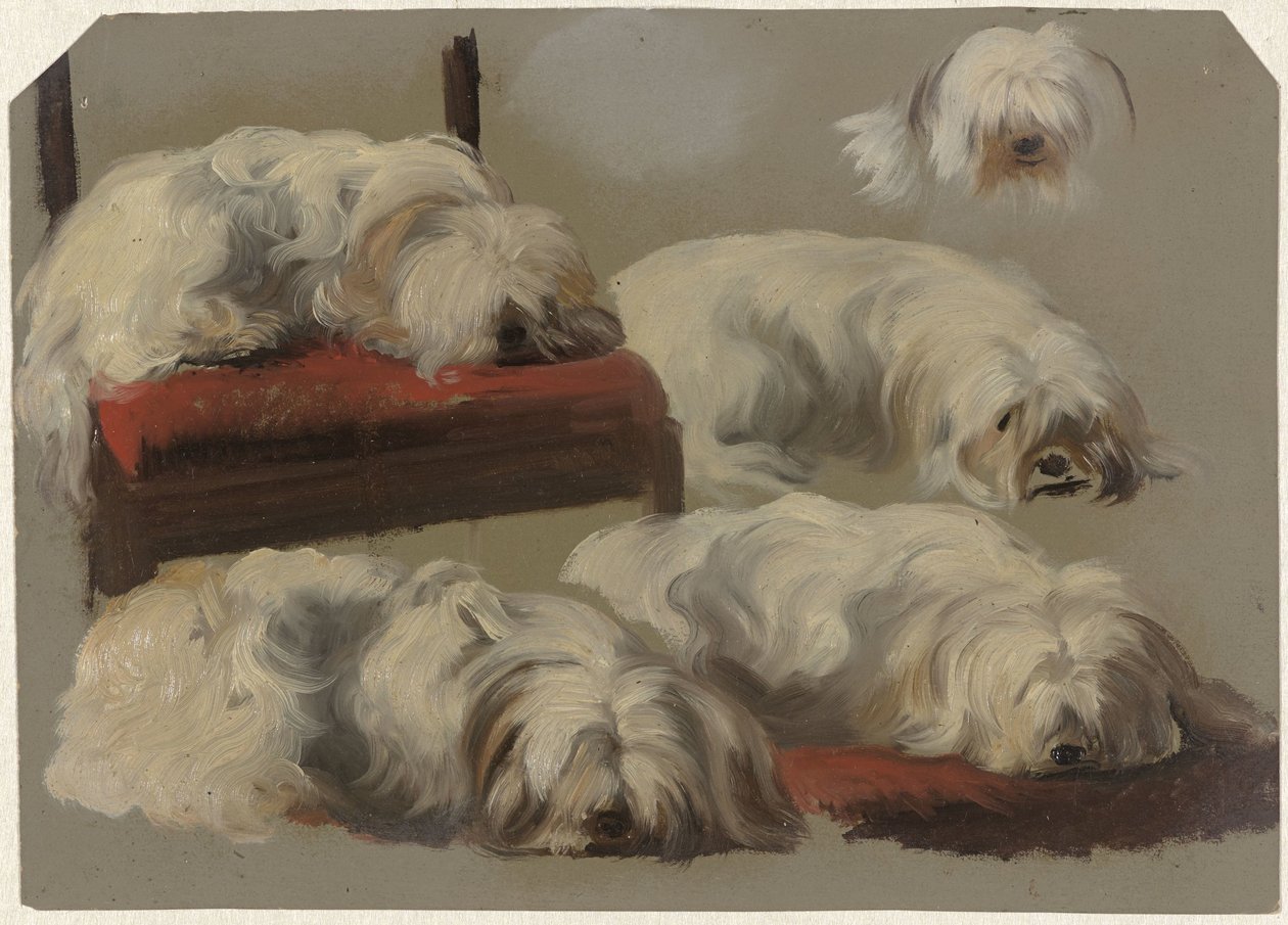 Beyaz kucak köpeği çalışmaları by Guillaume Anne van der Brugghen