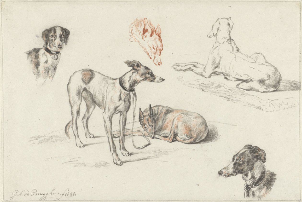 köpek çalışmaları by Guillaume Anne van der Brugghen