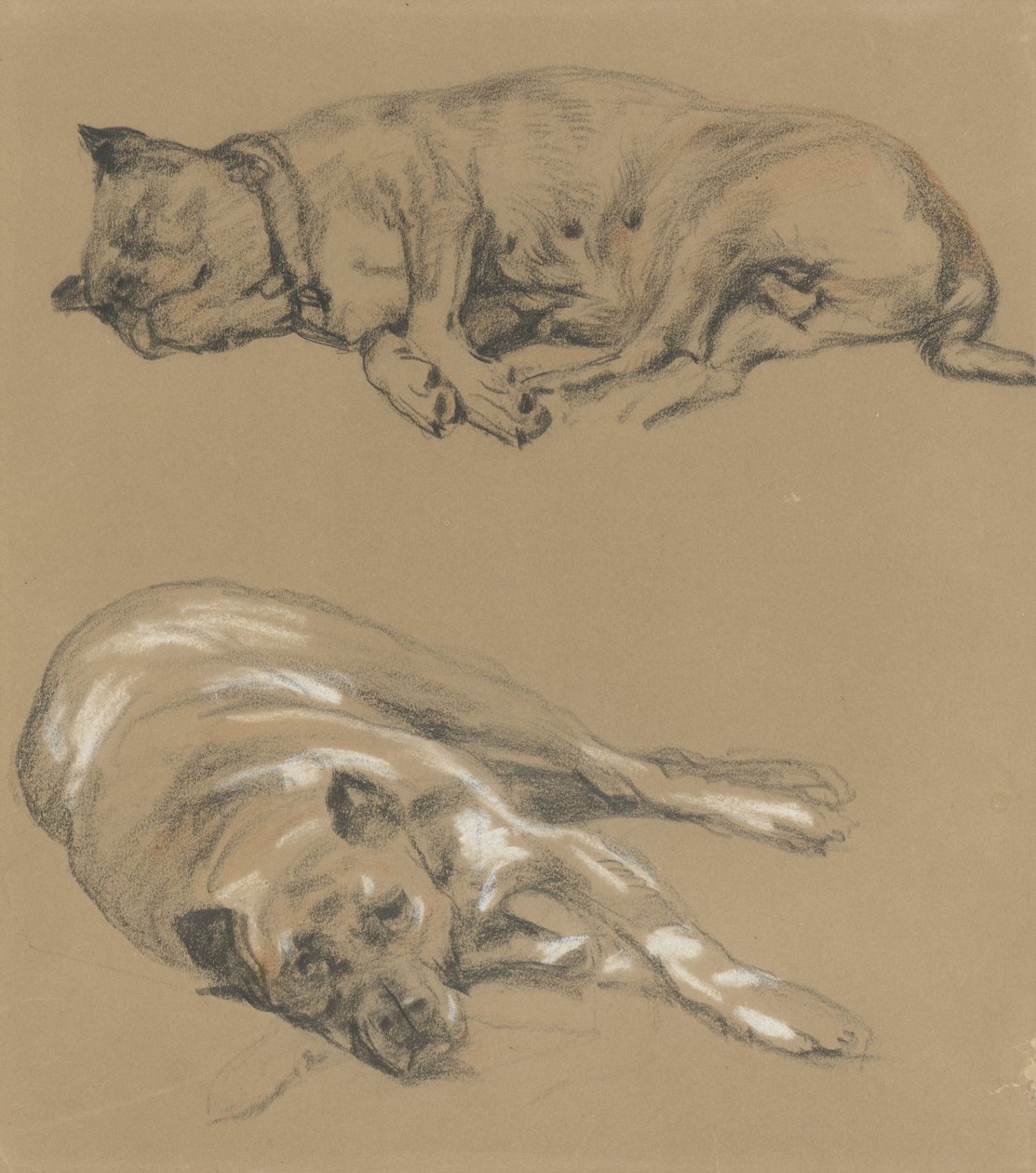 Yalancı bir köpeğin iki çalışması by Guillaume Anne van der Brugghen