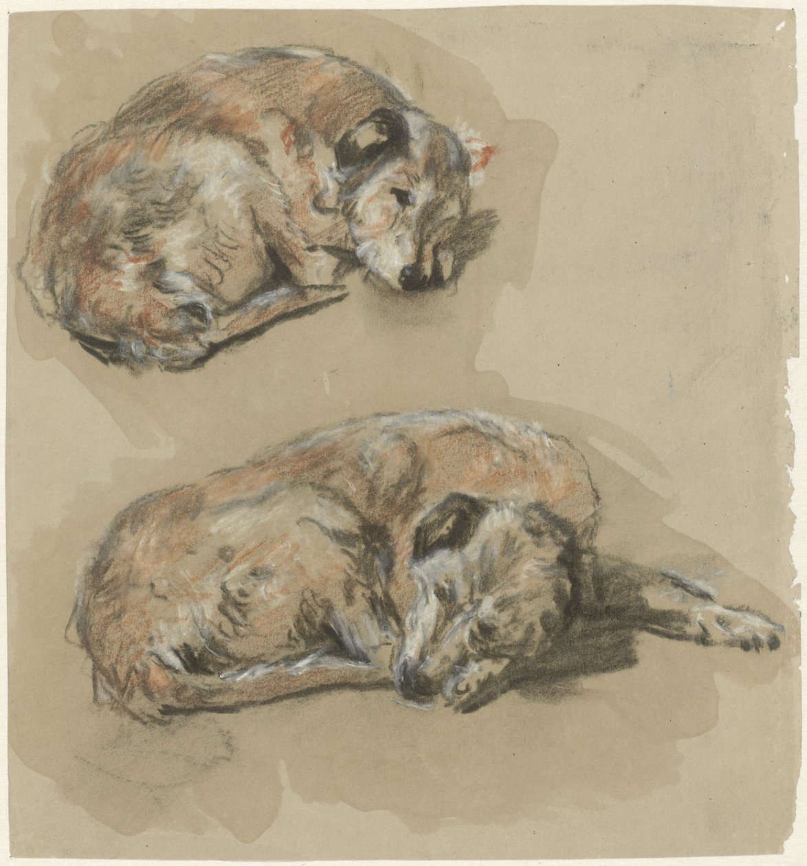 Yalancı bir köpeğin iki çalışması by Guillaume Anne van der Brugghen