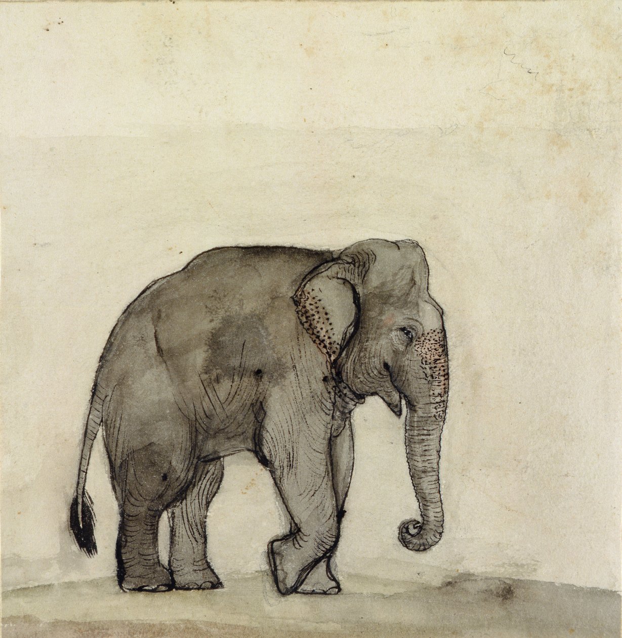 Inzovu, c.1790 (ikaramu und wino, koza und wc ku mpapuro) by Gungaram Tambat
