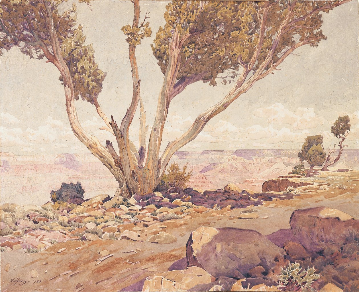 büyük Kanyon by Gunnar Widforss