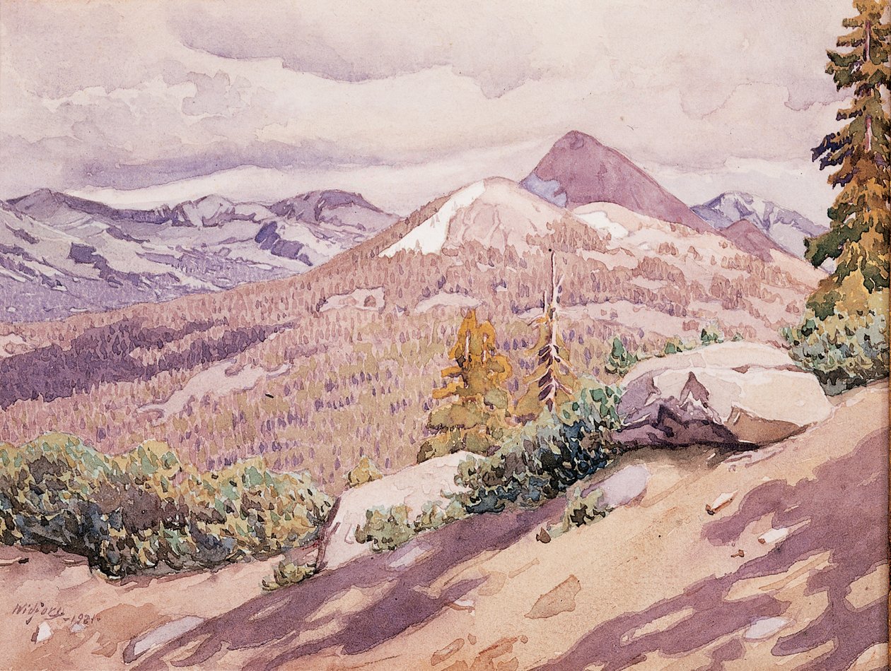 Yüksek Sierra by Gunnar Widforss