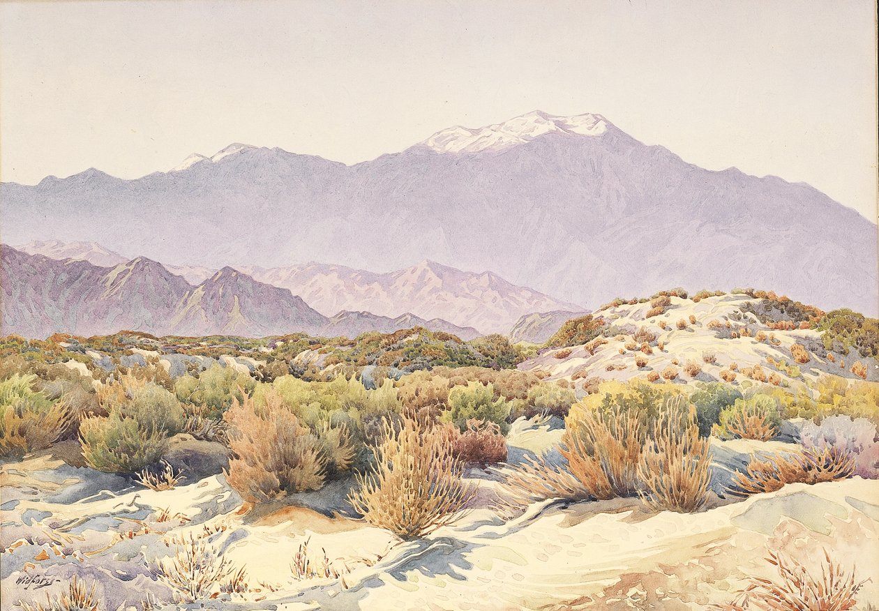 San Jacinto (kağıt üzerinde w/c) by Gunnar Widforss